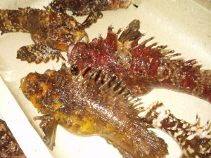 �Ă̔����̓I�R�[����