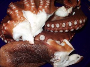 �����ӂ��A���F�A�ӂ�����